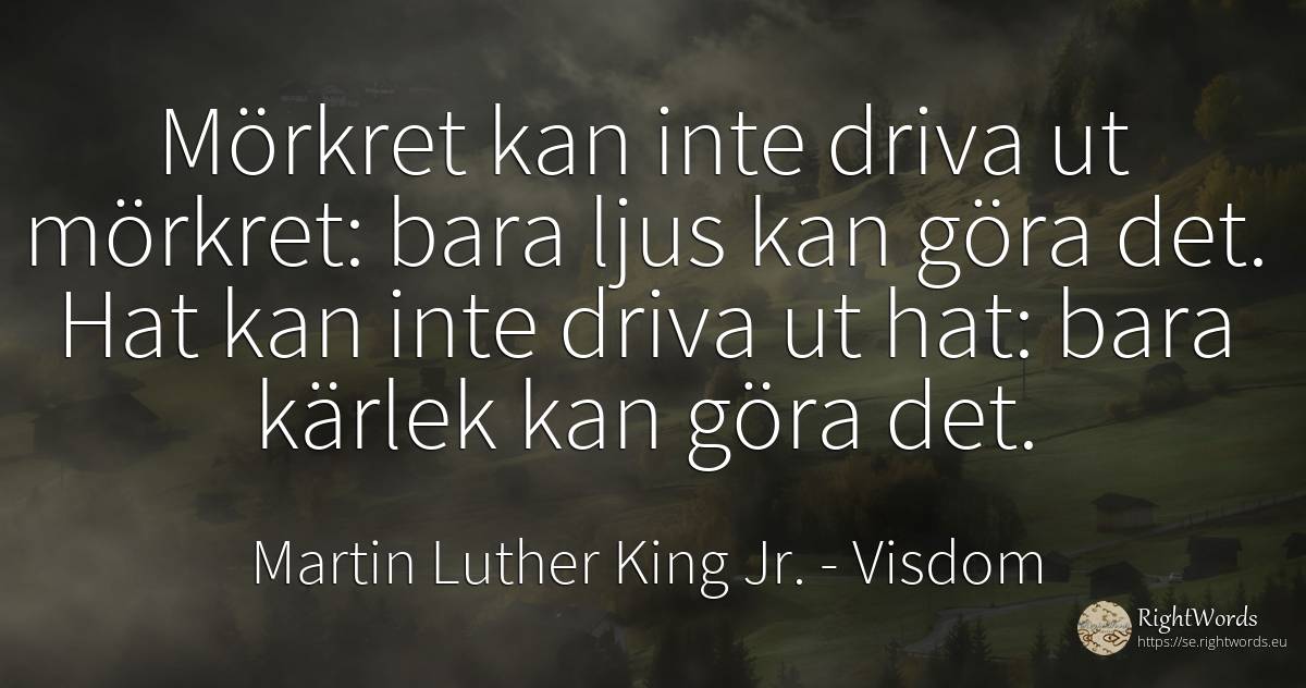 Mörkret kan inte driva ut mörkret: bara ljus kan göra... - Martin Luther King Jr. (MLK), citat om visdom, hat