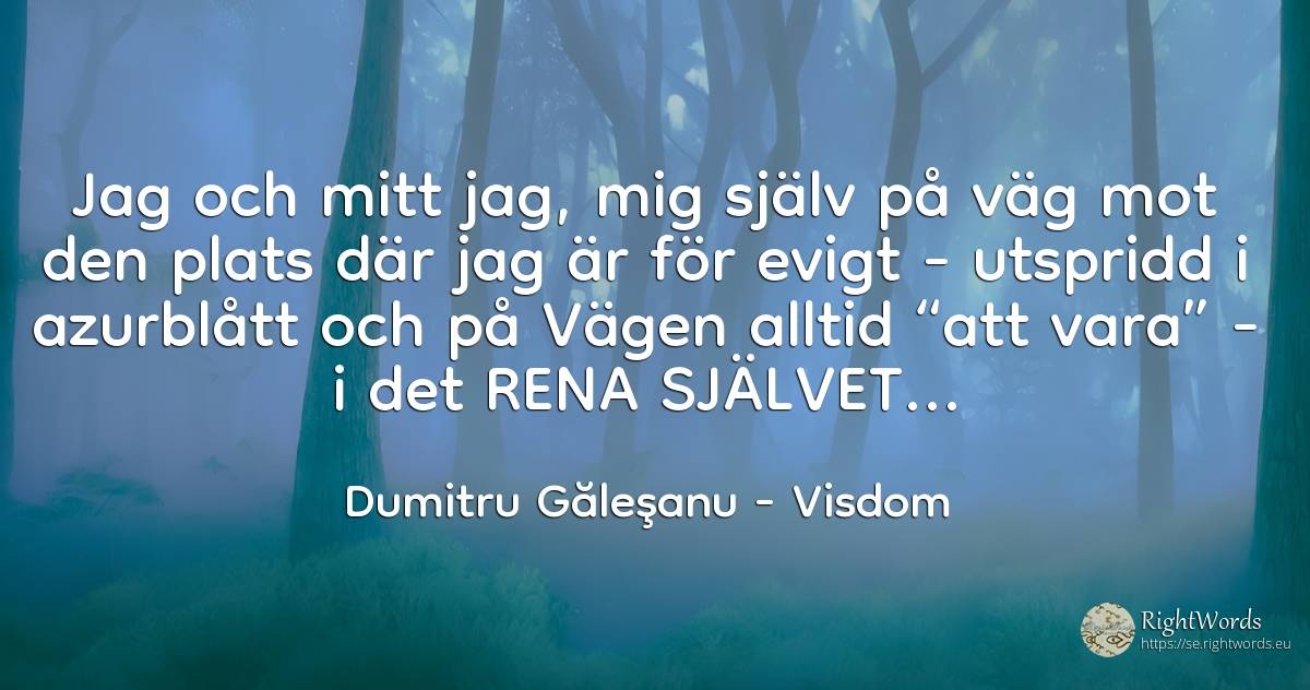 Jag och mitt jag, mig själv på väg mot den plats där jag... - Dumitru Găleşanu, citat om visdom