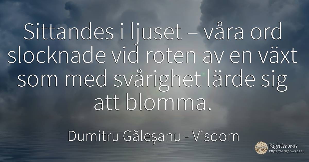 Sittandes i ljuset – våra ord slocknade vid roten av en... - Dumitru Găleşanu, citat om visdom