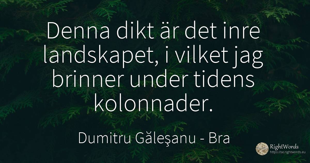 Den här dikten är det inre landskapet i vilket jag... - Dumitru Găleşanu, citat om bra