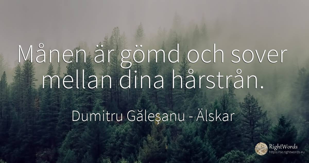 Månen är gömd och sover mellan dina hårstrån. - Dumitru Găleşanu, citat om älskar