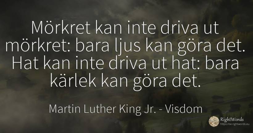 Mörkret kan inte driva ut mörkret: bara ljus kan göra... - Martin Luther King Jr. (MLK), citat om visdom, hat