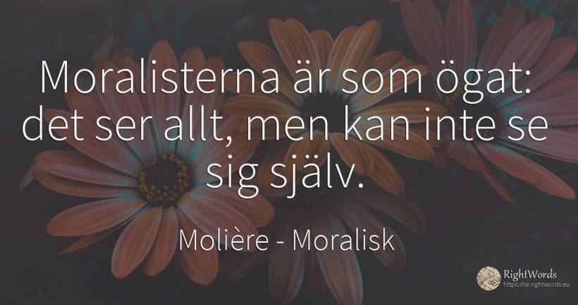 Moralisterna är som ögat: det ser allt, men kan inte se... - Molière, citat om moralisk