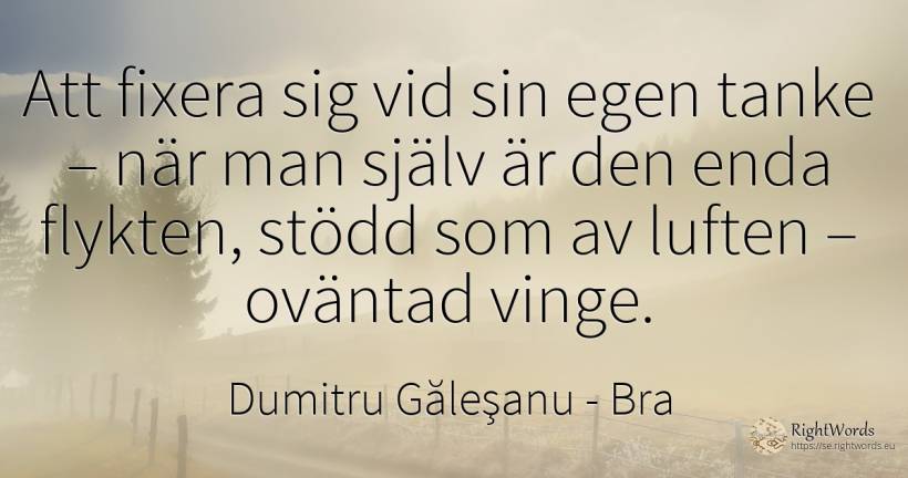 Att fixera sig vid sin egen tanke – när man själv är den... - Dumitru Găleşanu, citat om bra