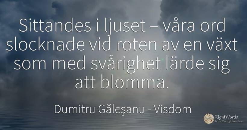 Sittandes i ljuset – våra ord slocknade vid roten av en... - Dumitru Găleşanu, citat om visdom