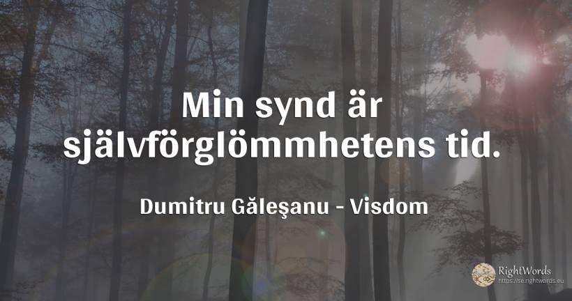 Min synd är självförglömmhetens tid. - Dumitru Găleşanu, citat om visdom