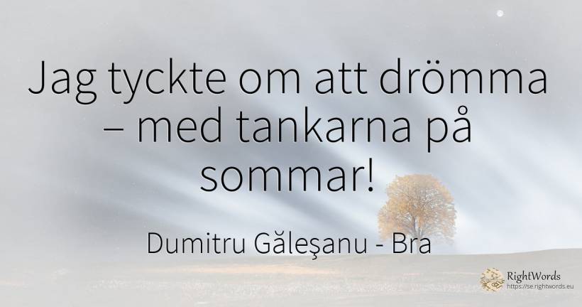 Jag tyckte om att drömma – med tankarna på sommar! - Dumitru Găleşanu, citat om bra