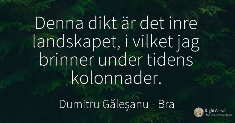 Den här dikten är det inre landskapet i vilket jag... - Dumitru Găleşanu, citat om bra