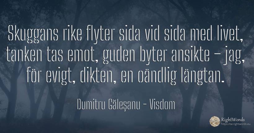 Skuggans rike flyter sida vid sida med livet, tanken tas... - Dumitru Găleşanu, citat om visdom