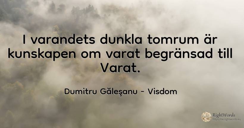 I varandets dunkla tomrum är kunskapen om varat begränsad... - Dumitru Găleşanu, citat om visdom